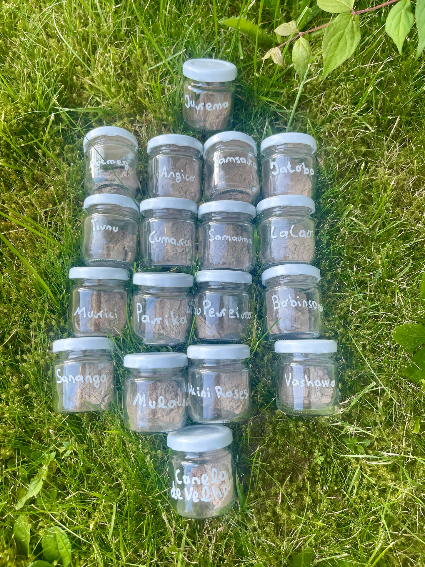 17x5g Rapé Bundle | direkt versandbereit verfügbar