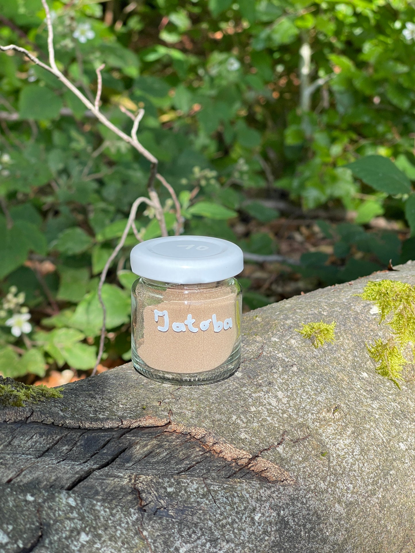 Jatoba Rapè kaufen in bester und reinster Qualität von KlangdesLichts☀️ noRapé kaufen