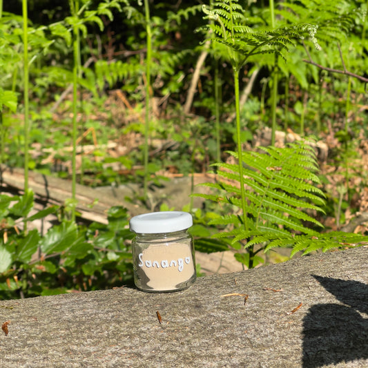 Sananga Rapè kaufen in bester und reinster Qualität von KlangdesLichts☀️ Rapé kaufen