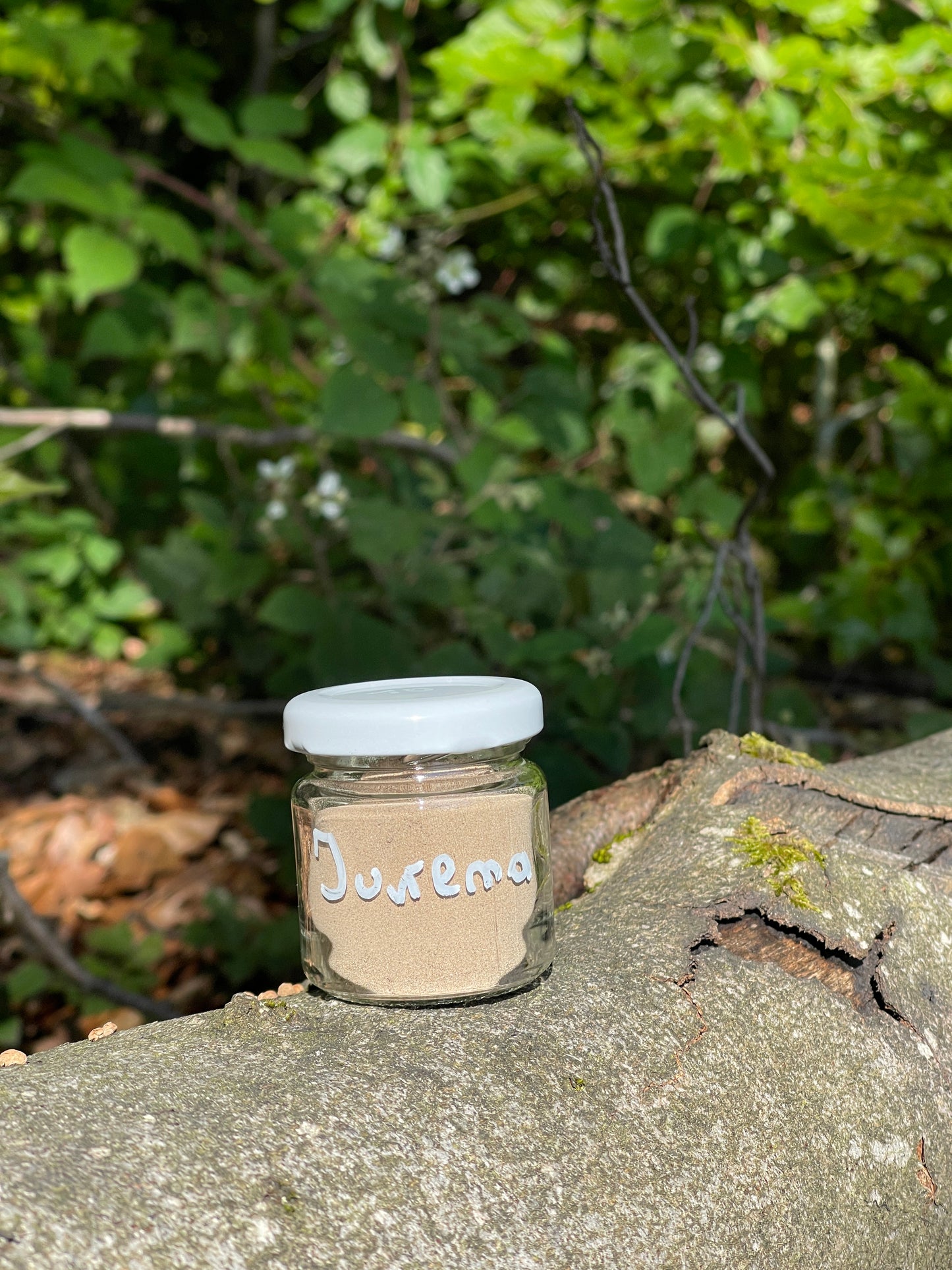 Jurema Rapè kaufen in bester und reinster Qualität von KlangdesLichts☀️ Rapé kaufen